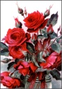 Gruss an Teplitz Rose Foto GSR