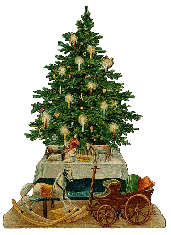 Rosen - Adventskalender