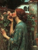 Waterhouse My sweet Rose